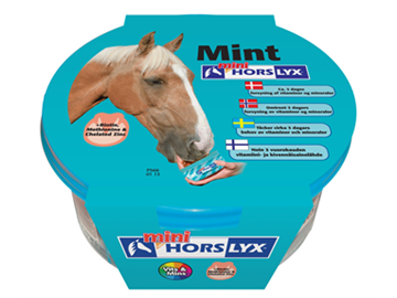 Horslyx minilick Mint 650 gr.